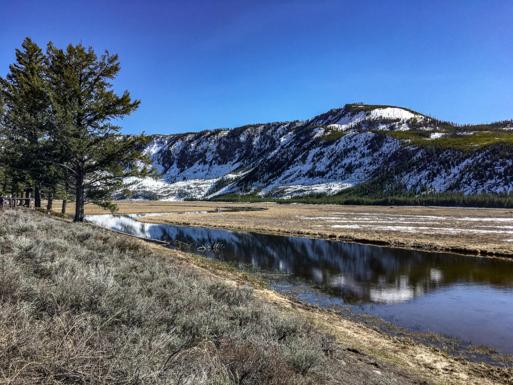 Yellowstone West Entrance Backdrop