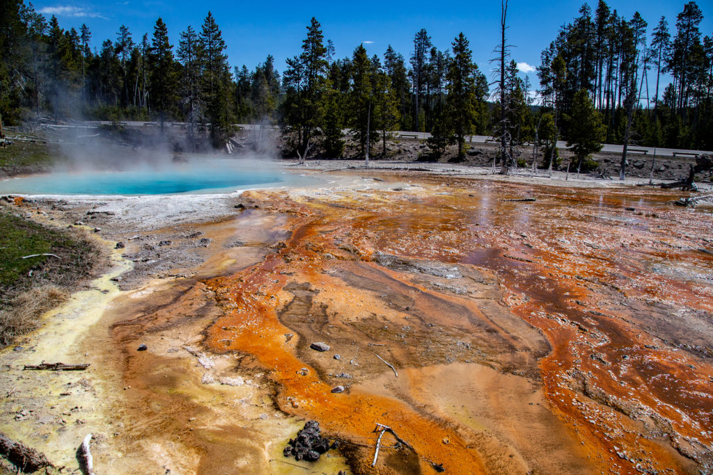 Hot Spring Colors