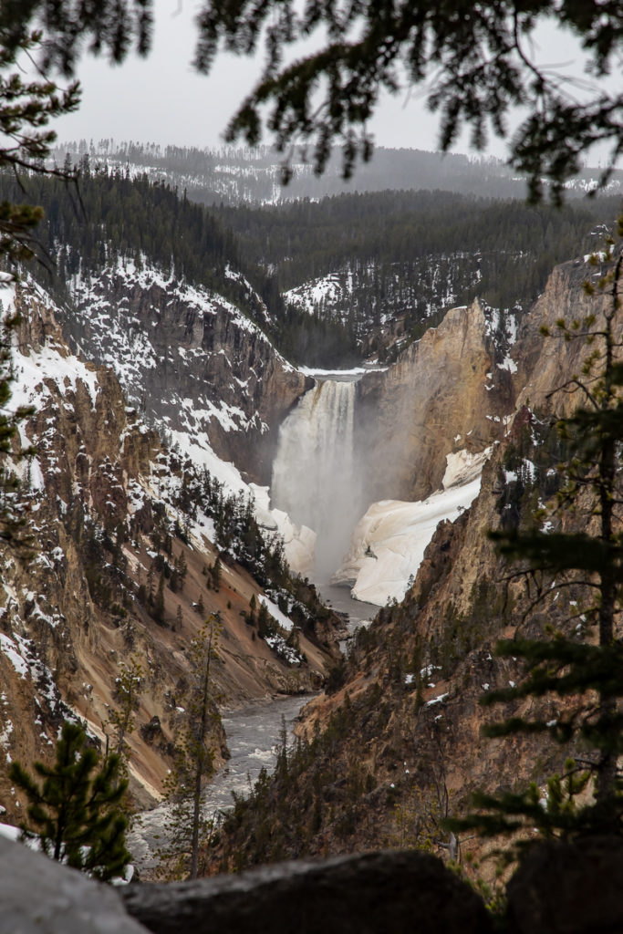 Yellowstone Grand Canyon