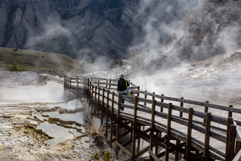 Mammoth Hot Spring Trail