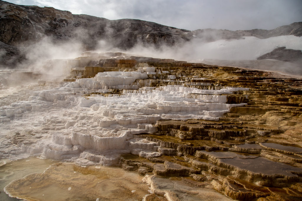 Mammoth Springs in Yellowstone