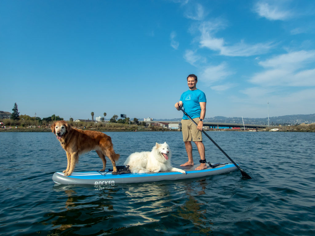 SUP paddling with Dogs