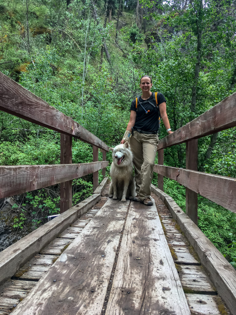 Bridge on the Ouray Perimeter trail