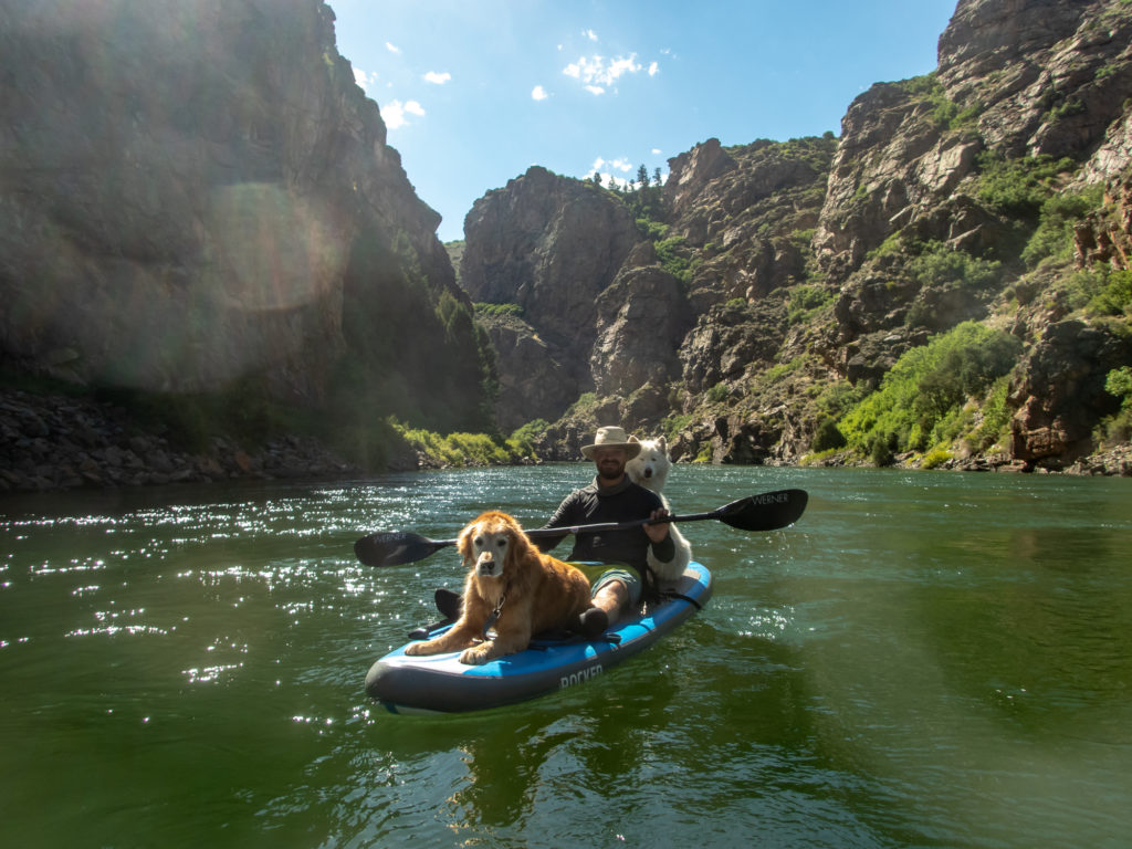 SUP paddling with dogs in Gunnison, Colorado.