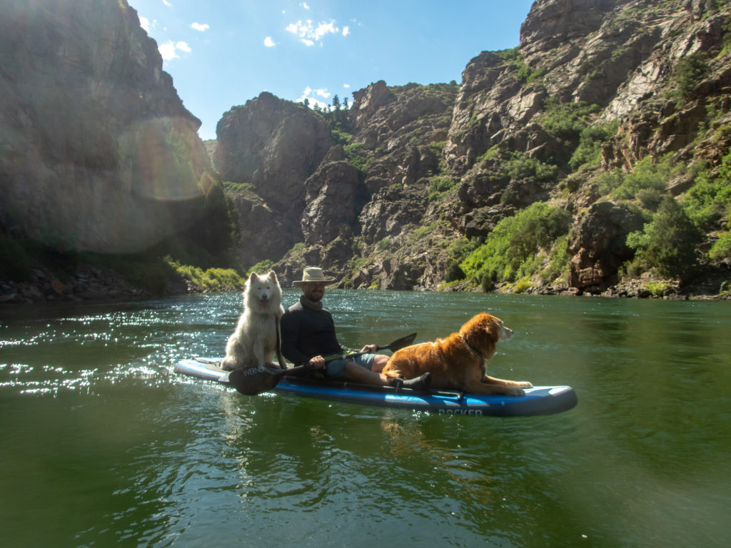 SUP paddling with dogs