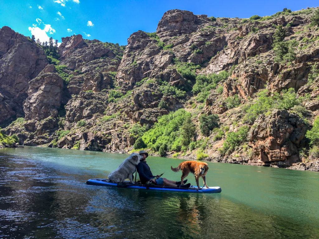 SUP paddling with dogs in Gunnison, Colorado.